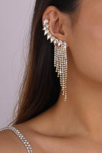 Load image into Gallery viewer, its Giving Earrings
